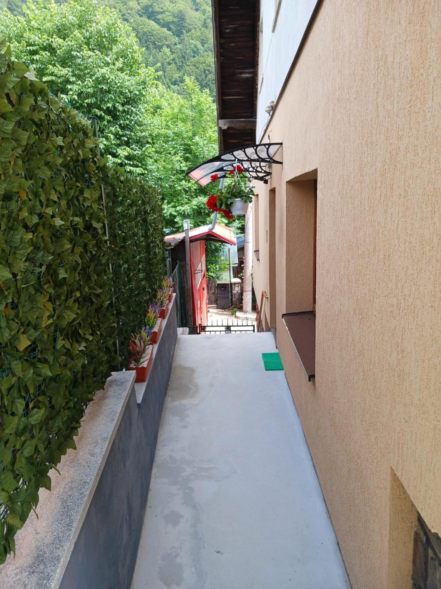 Willa Cozy House Sinaia Zewnętrze zdjęcie